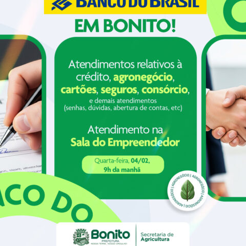 WhatsApp Image 2026-02-03 at 10.26.15 (1)